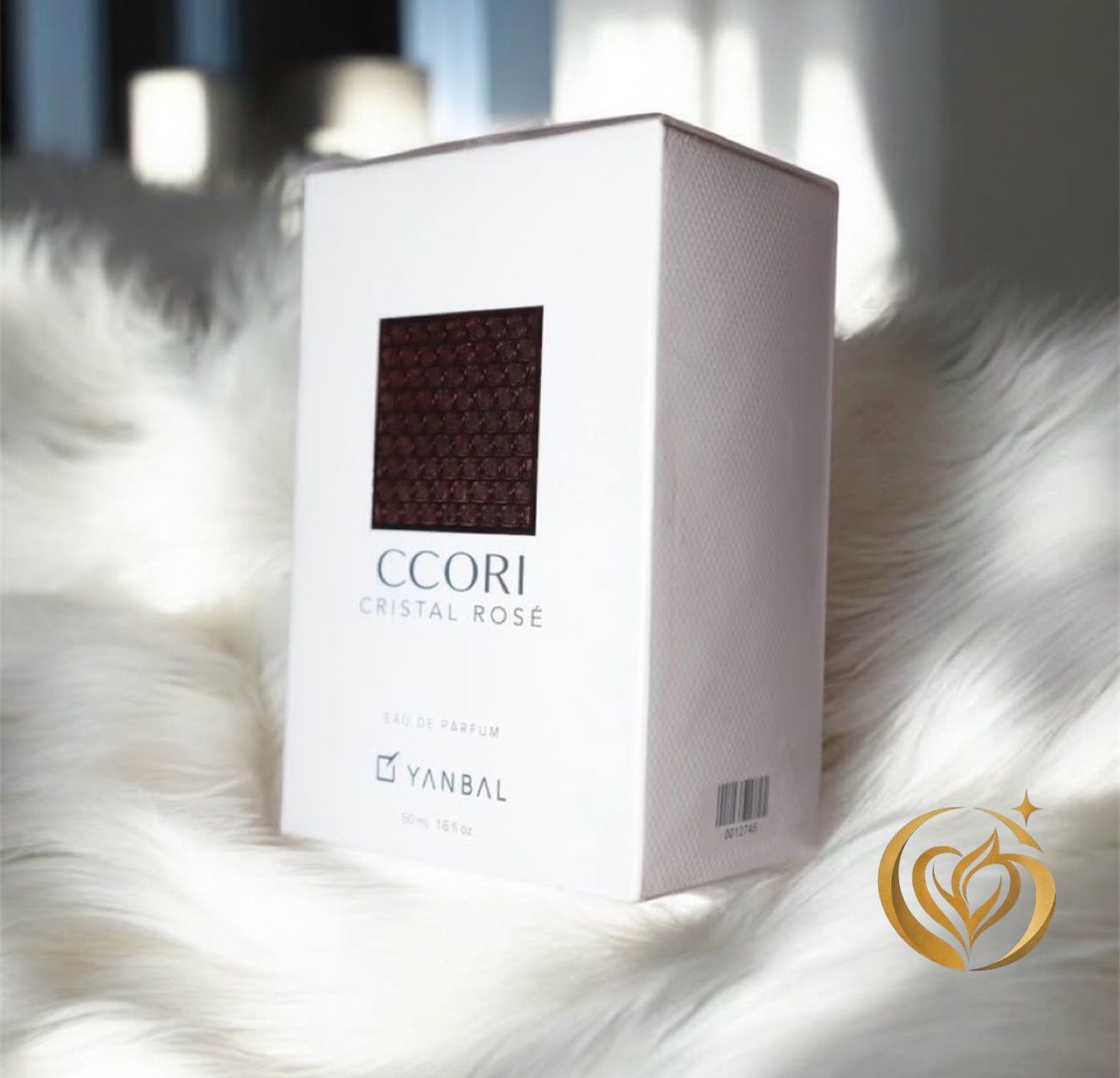 CCORI YANBAL - SOLO BOGOTÁ