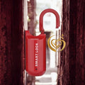 DORADA SMART LOCK -
